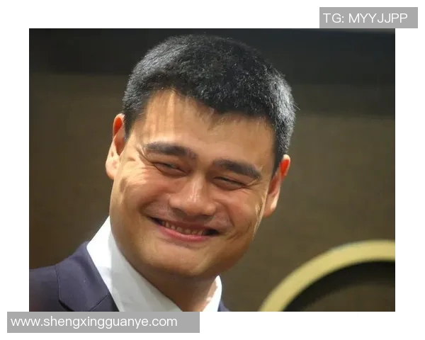 姚明的青春故事与奋斗精神在青年文摘中的启示与反思