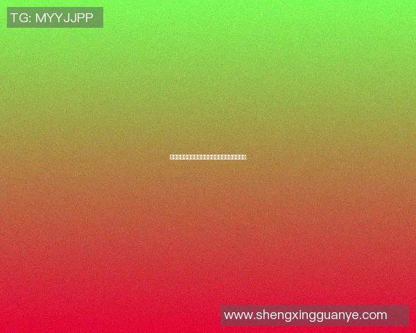 篮球明星暴力熊的传奇人生与赛场背后的故事揭秘
