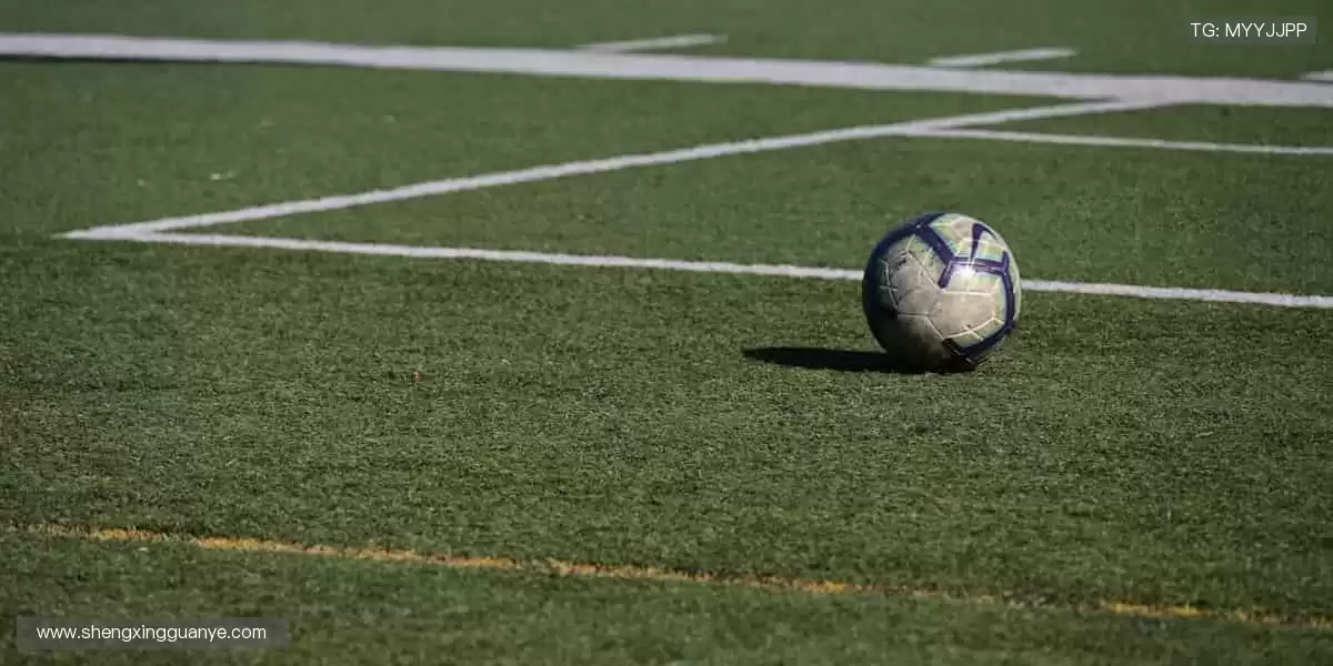 ⚡巅峰对决，心跳与欢呼同频！🏆